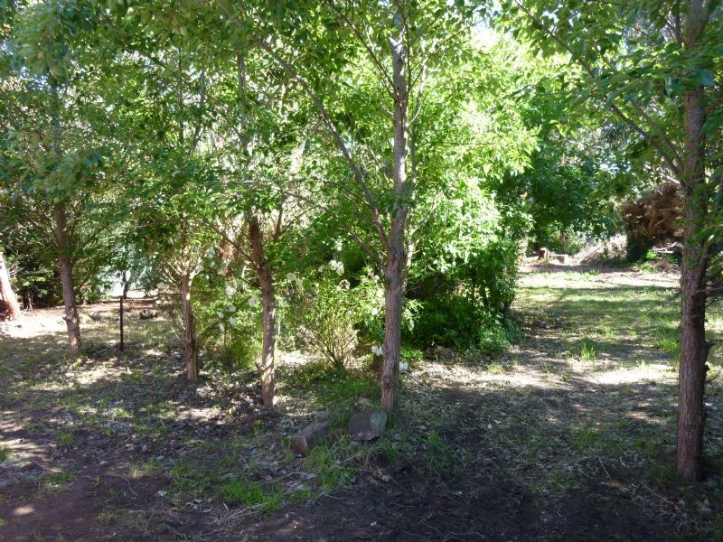 Tylden VIC 3444