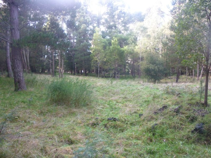 CA Lot 1 & 4 Walkers Road, Woodend VIC 3442