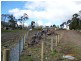 Woodend VIC 3442
