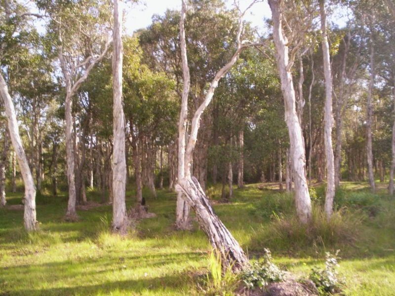 Lot 6 Roys Rd, Coochin Creek QLD 4519