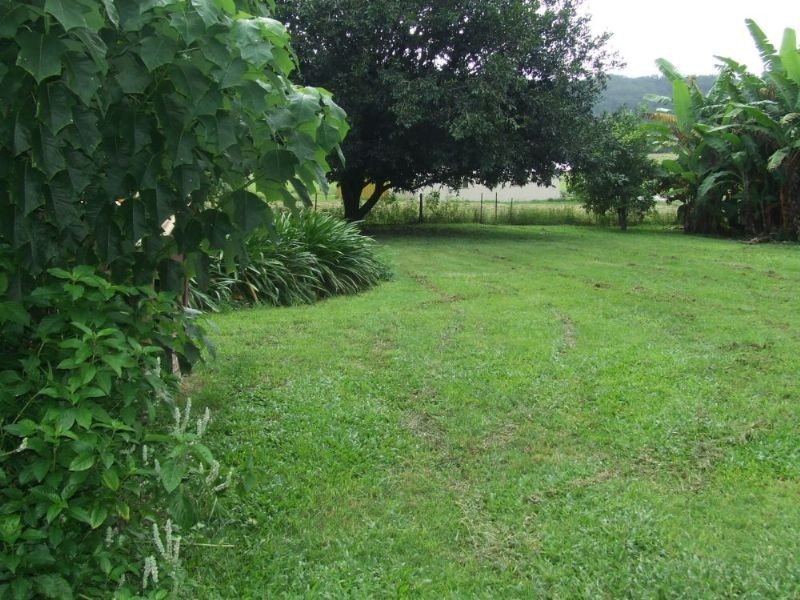 Mooloolah Valley QLD 4553