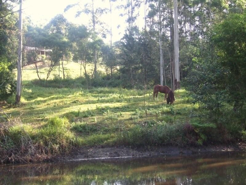 Glenview QLD 4553