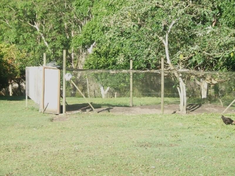 Glenview QLD 4553