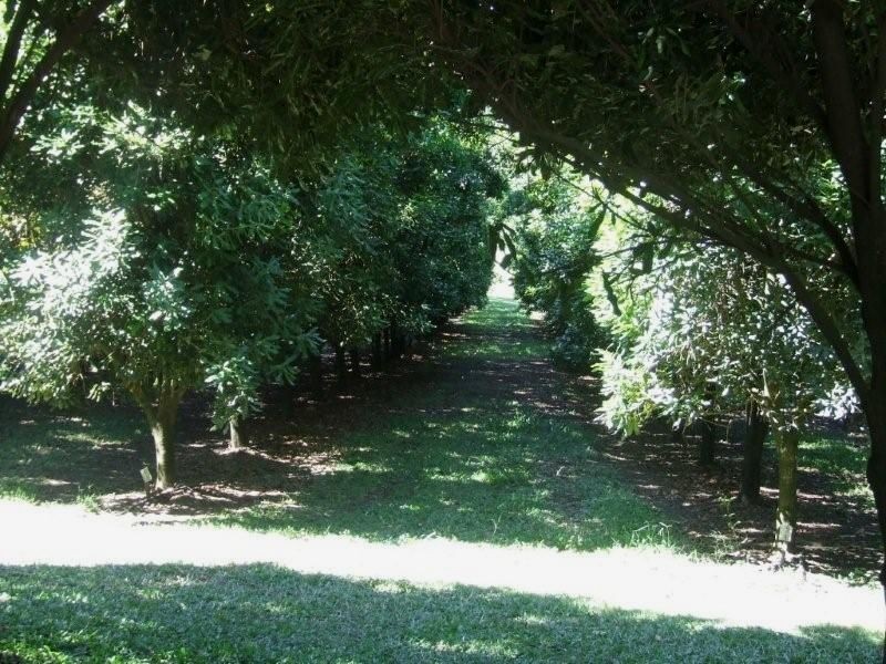 371 Kureelpa Falls Rd, Kureelpa QLD 4560