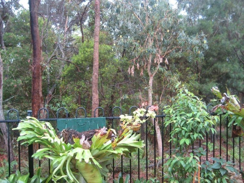 4/40 Lakeside Cres, Currimundi QLD 4551