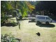 Mooloolah Valley QLD 4553