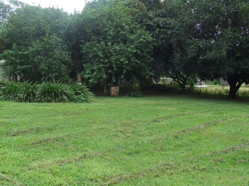 Mooloolah Valley QLD 4553