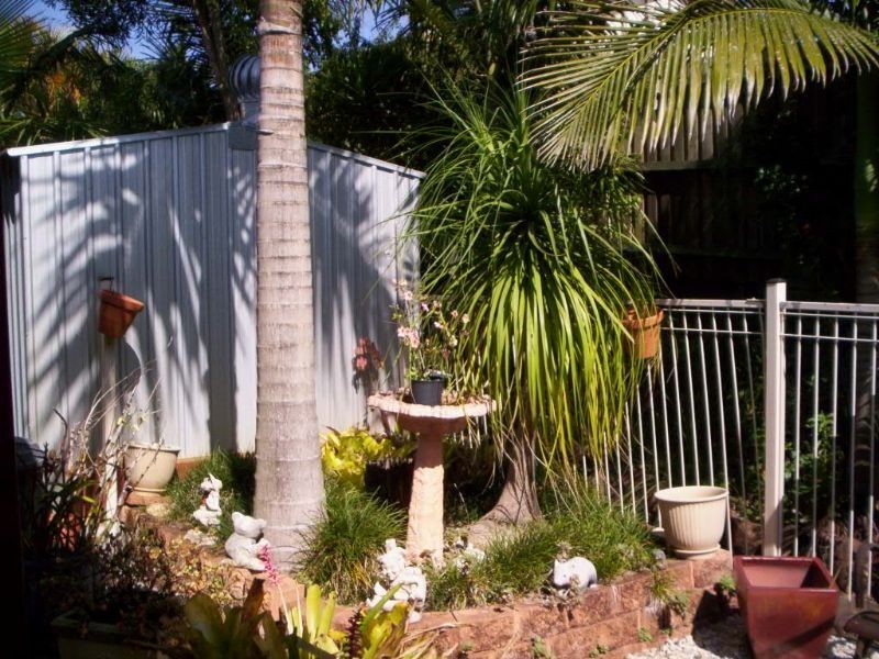 10/65 Caloundra Rd, Caloundra QLD 4551