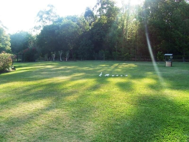 Mooloolah Valley QLD 4553