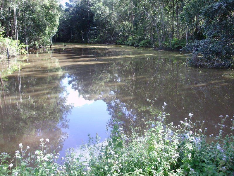 Lot 36 Taylor Court, Mooloolah Valley QLD 4553