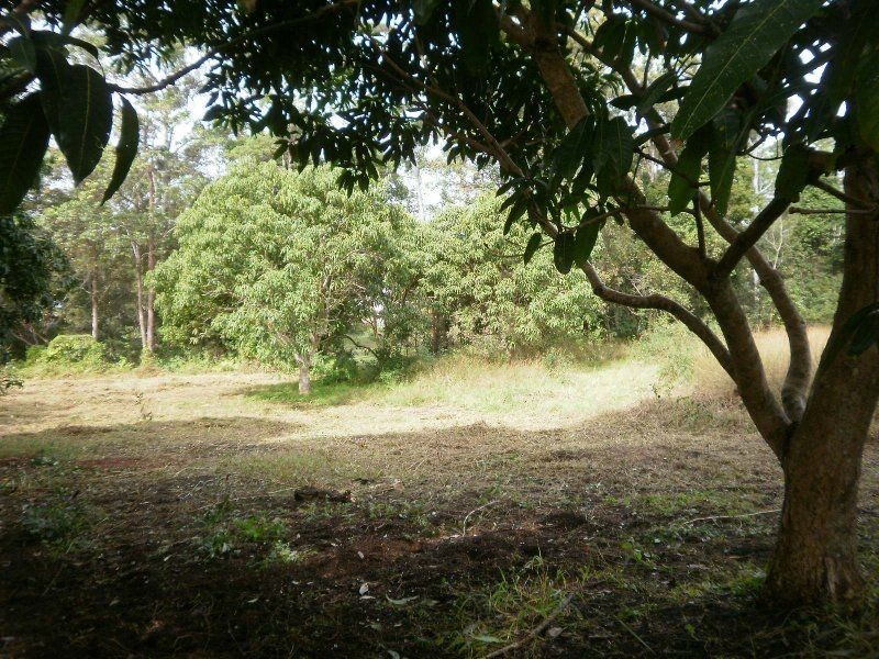 Lot 36 Taylor Court, Mooloolah Valley QLD 4553