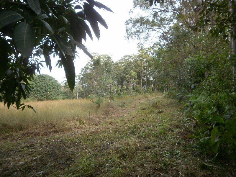 Lot 36 Taylor Court, Mooloolah Valley QLD 4553