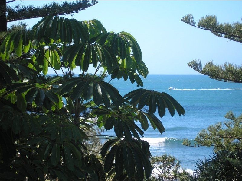 2/13 Headland Esplanade, Kings Beach QLD 4551