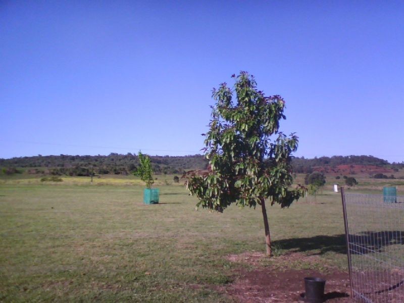 177 Butler Drive, Proston QLD 4613