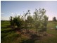177 Butler Drive, Proston QLD 4613