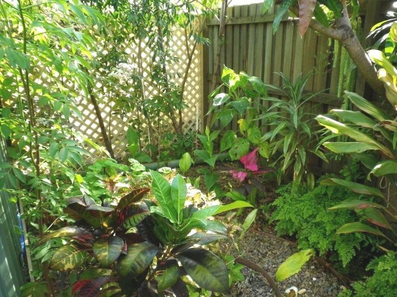 24/65 Caloundra Road, Caloundra QLD 4551