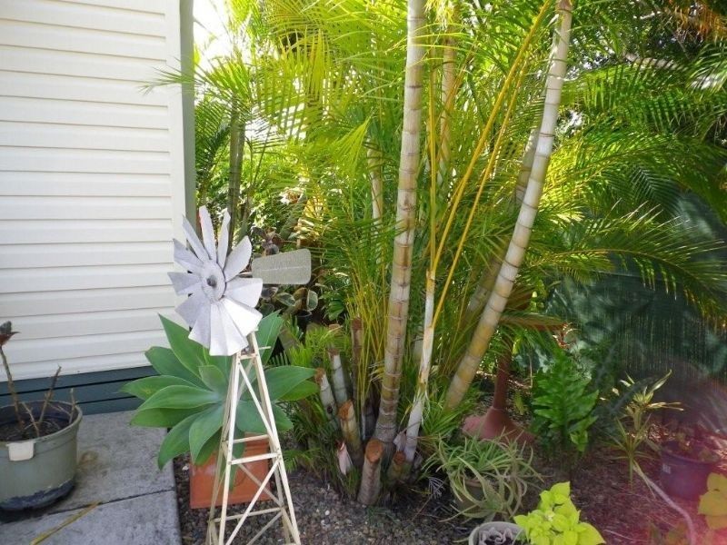 24/65 Caloundra Road, Caloundra QLD 4551