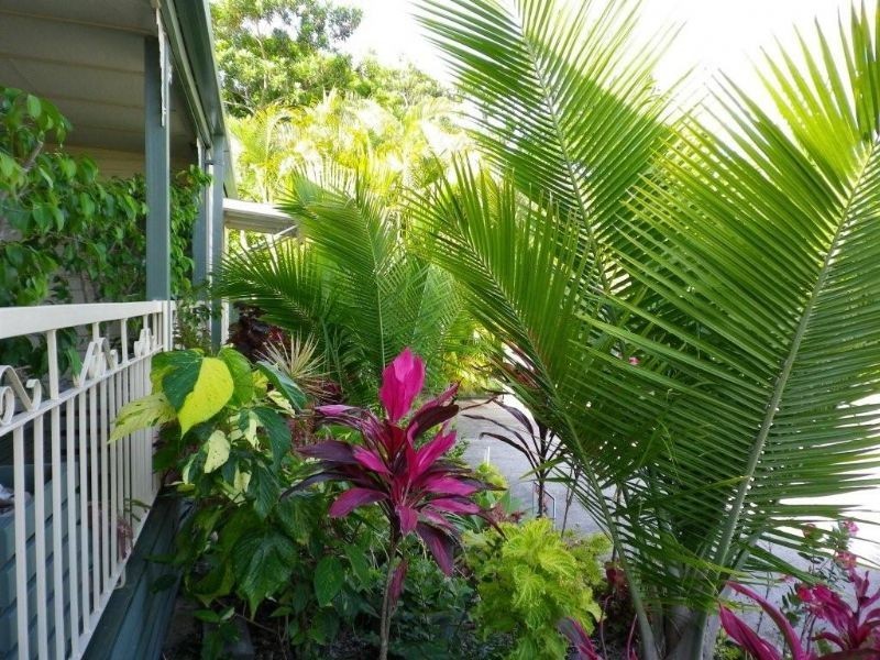 24/65 Caloundra Road, Caloundra QLD 4551