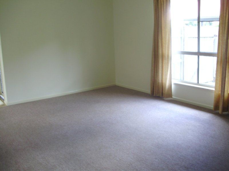 11 Cordia Street, Currimundi QLD 4551