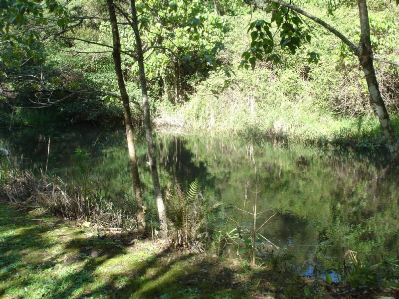 1926 Maleny-Stanley River Road, Booroobin QLD 4552