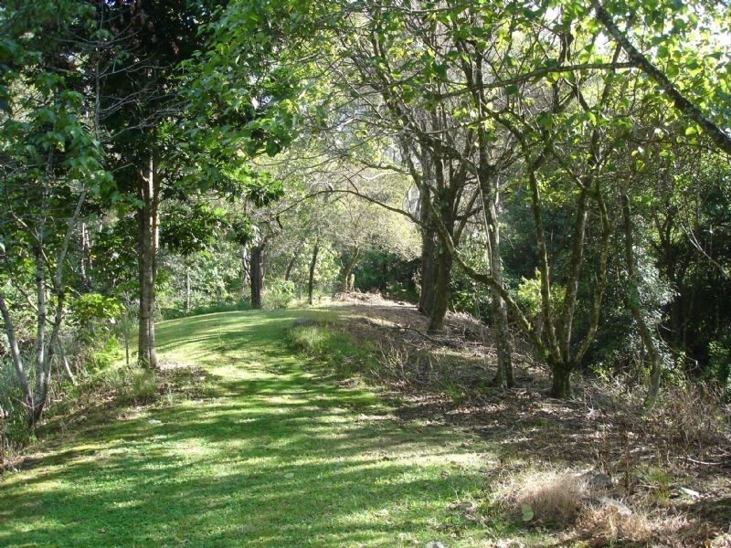 1926 Maleny-Stanley River Road, Booroobin QLD 4552