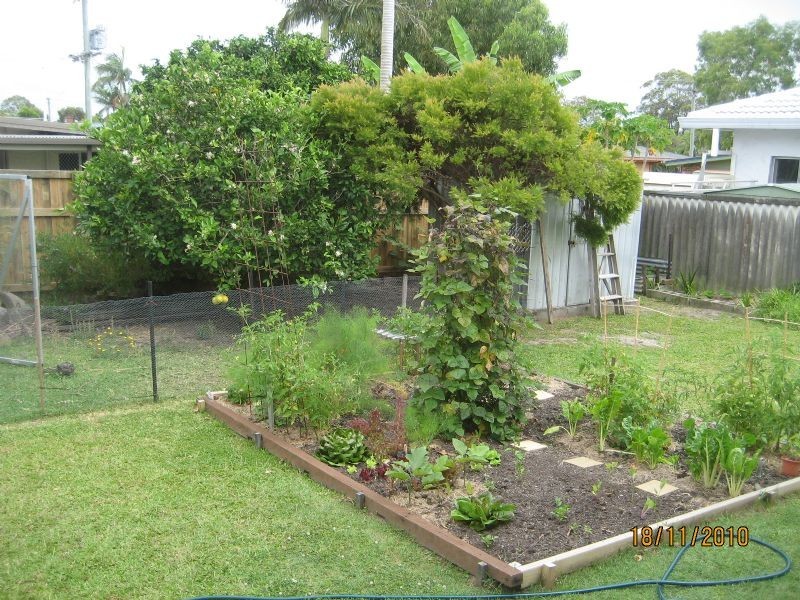 2 Hill Street, Currimundi QLD 4551