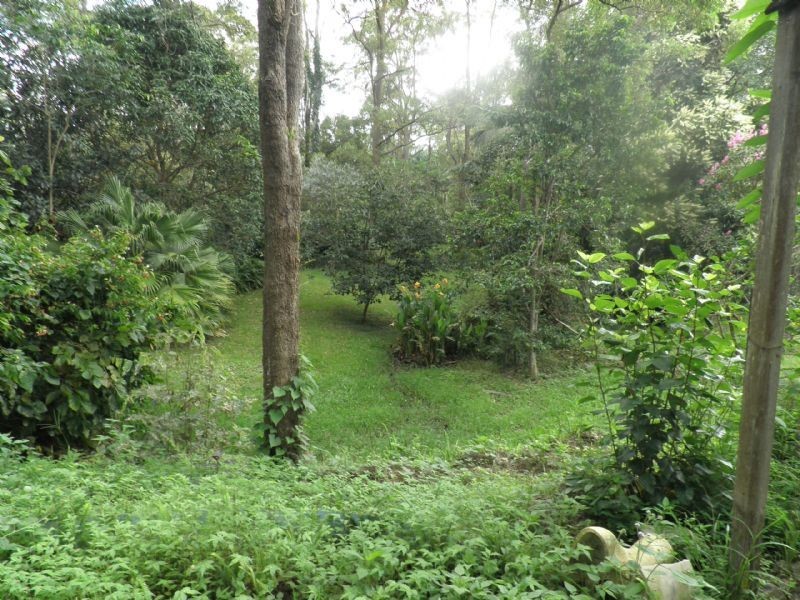 6 Mary Street, Landsborough QLD 4550