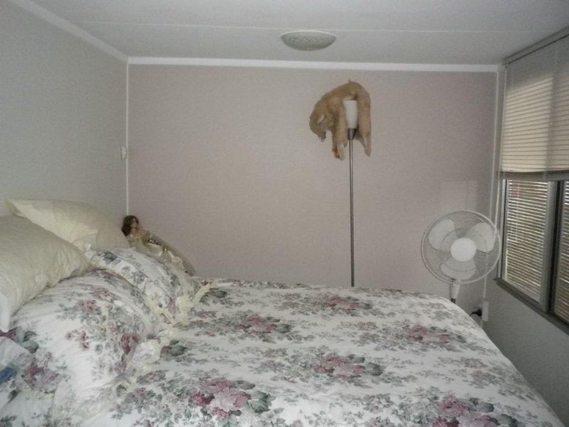 24/63 Caloundra Rd, Little Mountain QLD 4551