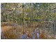 2994 Old Gympie Road, Beerwah QLD 4519