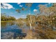 2994 Old Gympie Road, Beerwah QLD 4519
