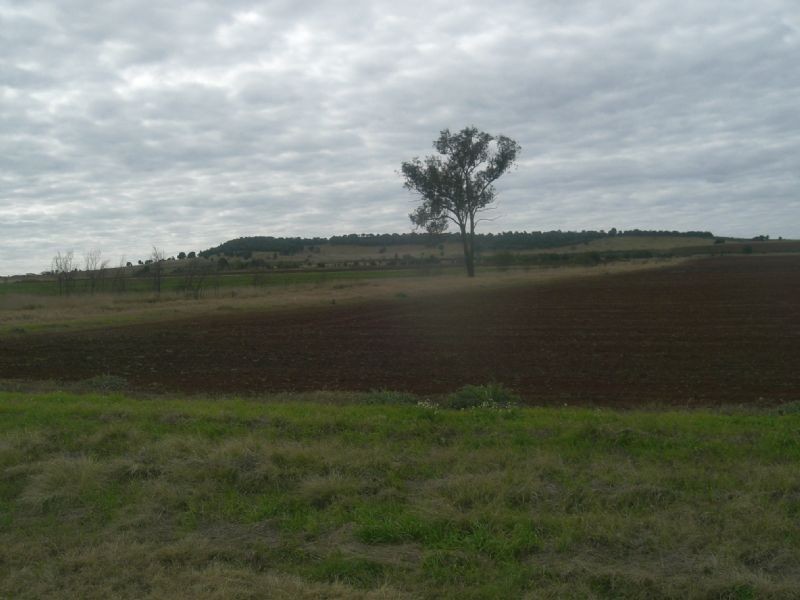 Lot 4 Logan Road, Wooroolin QLD 4608