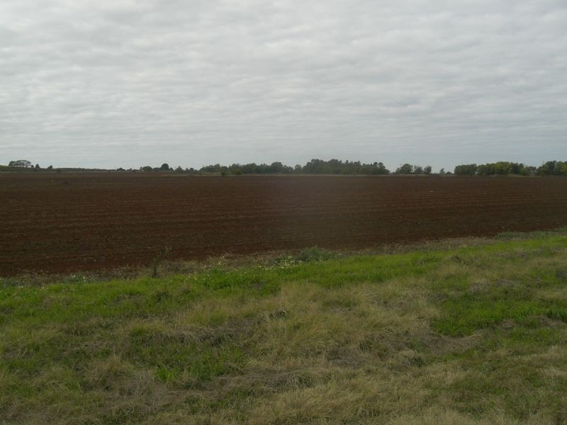 Lot 4 Logan Road, Wooroolin QLD 4608