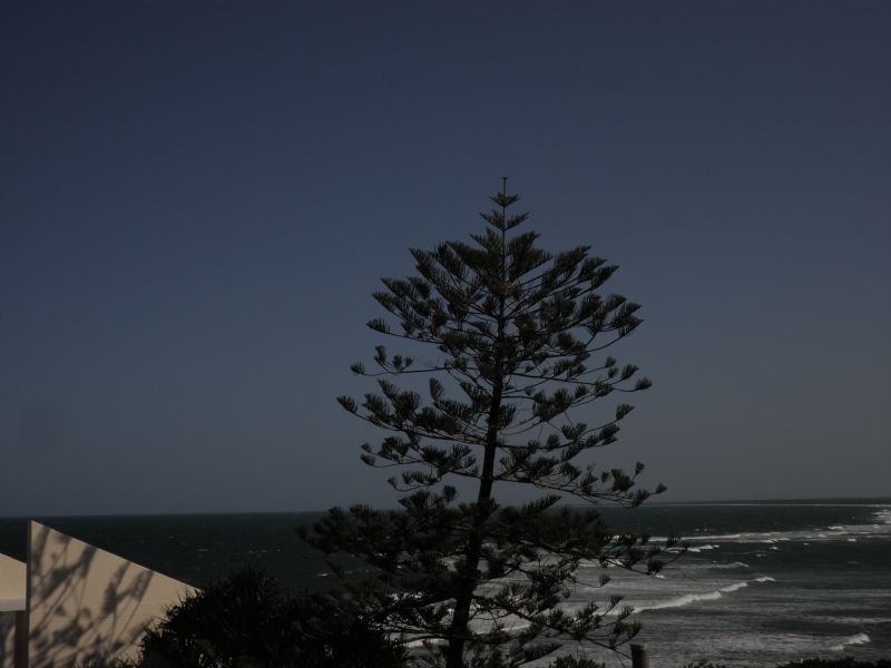 8/42 Warne Terrace, Caloundra QLD 4551