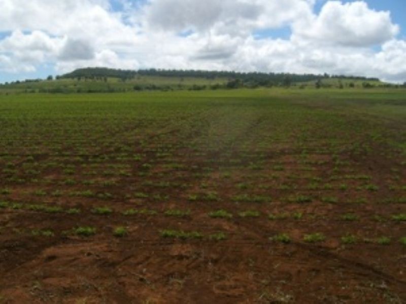 Lot 3 Logan Road, Kingaroy QLD 4610