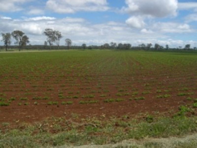 Lot 3 Logan Road, Kingaroy QLD 4610