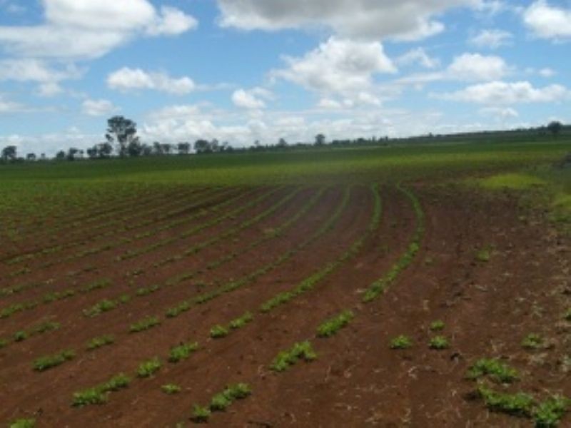 Lot 3 Logan Road, Kingaroy QLD 4610