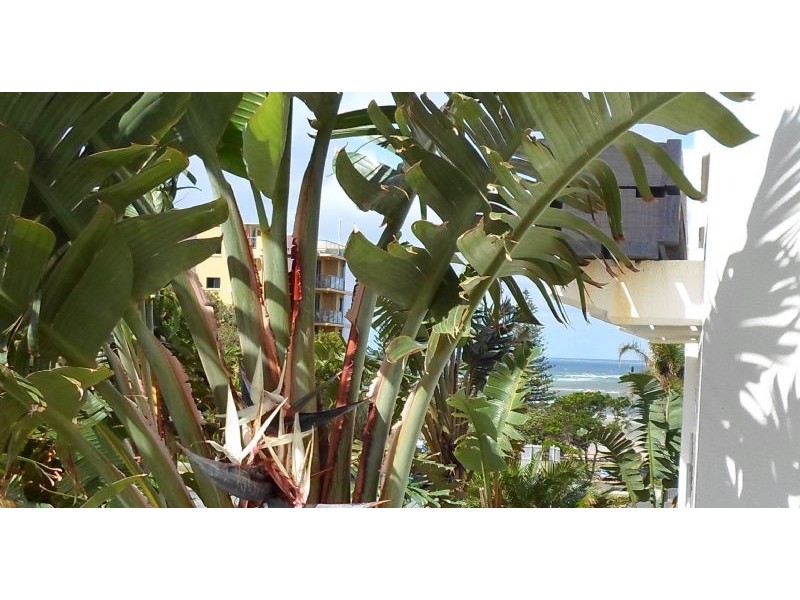 2/1 Cooma Terrace, Caloundra QLD 4551