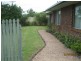 31 Naroon Crescent, Wurtulla QLD 4575