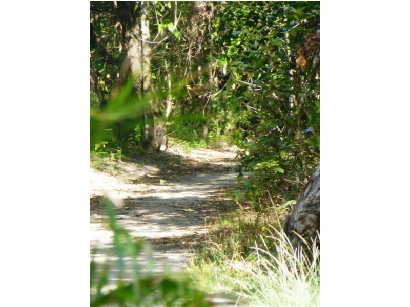 404 Oceanic Drive, Wurtulla QLD 4575