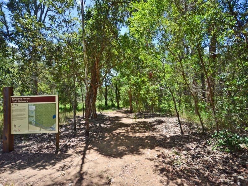 14 Whitebeech Street, Meridan Plains QLD 4551