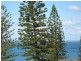Kings Beach QLD 4551