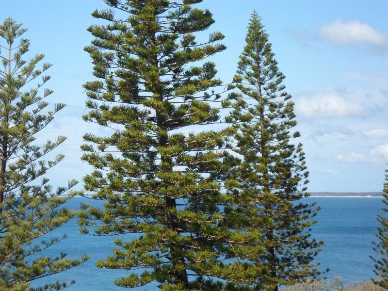 Kings Beach QLD 4551
