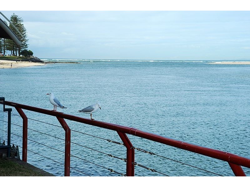 4/4 Tay Ave, Caloundra QLD 4551