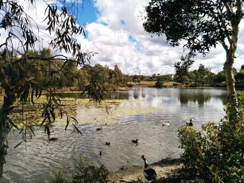 17 Rawson Street, Caloundra West QLD 4551