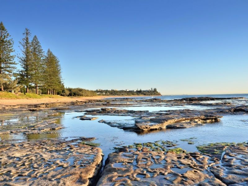 6 Oleander Avenue, Shelly Beach QLD 4551