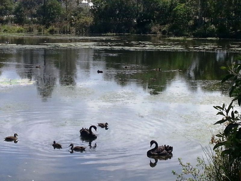 46 Wilderness Circuit, Little Mountain QLD 4551