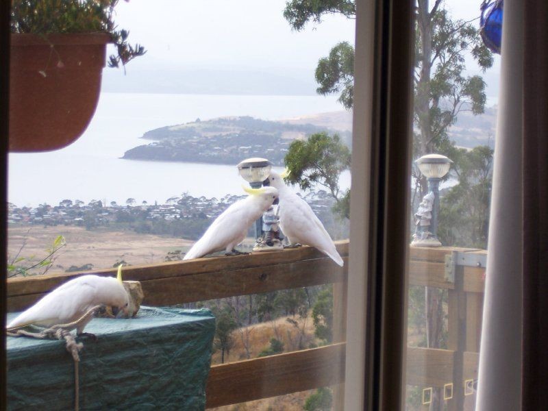 181 TARA DRIVE, Acton Park TAS 7170