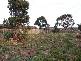 4 Edwards Court, Bacchus Marsh VIC 3340