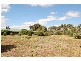 9 Dodemaide Circuit, Bacchus Marsh VIC 3340