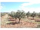 9 Dodemaide Circuit, Bacchus Marsh VIC 3340